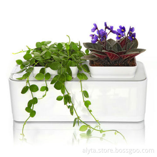Best home decoration smart planting all kinds of plants